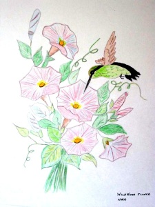 wildwood-flower-drawing-by-daddy-lightened-up
